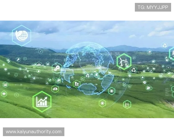 未来数字生态中开云入口的重要性与发展趋势全景展望
