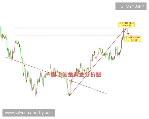 深入解析开云网页版各项功能，助你全面掌握操作手册